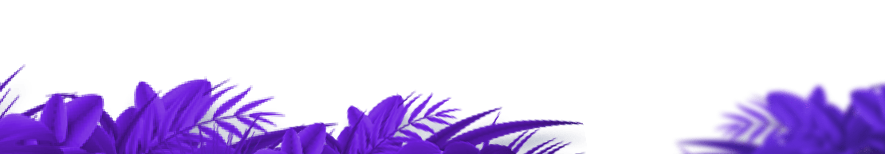 CS2 CSGO Case Opening Site