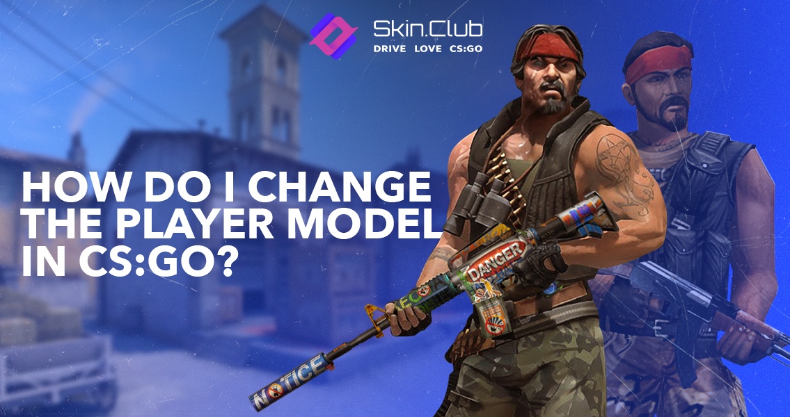 Player's model in CS:GO