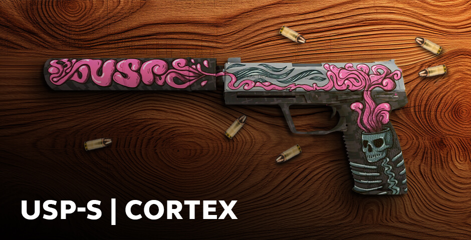 4. USP-S | Cortex
