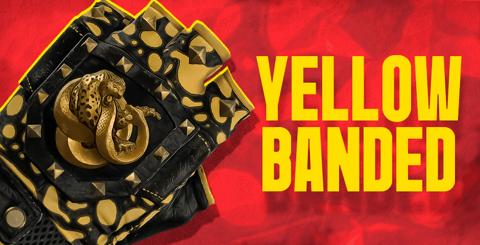 3. Broken Fang Gloves | Yellow-banded