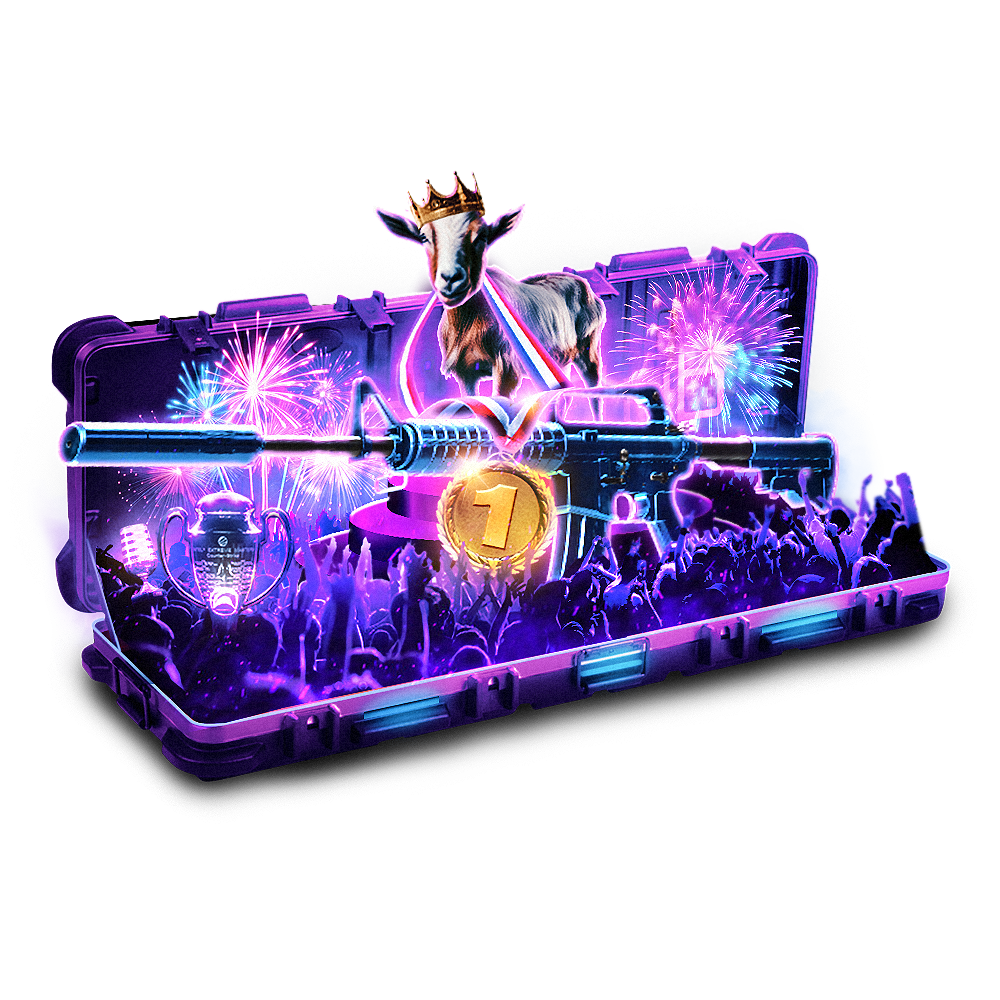 Case