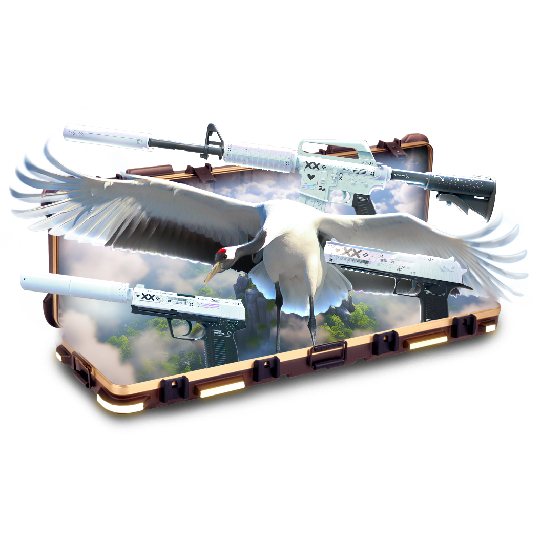 Case
