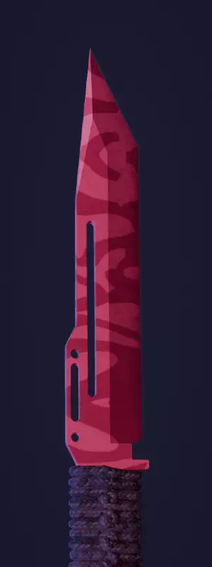 The Best Cheap CS2 Paracord Knife Skins