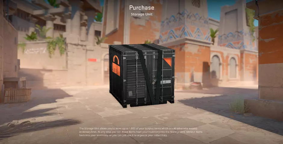 What Are CS2 Storage Units?