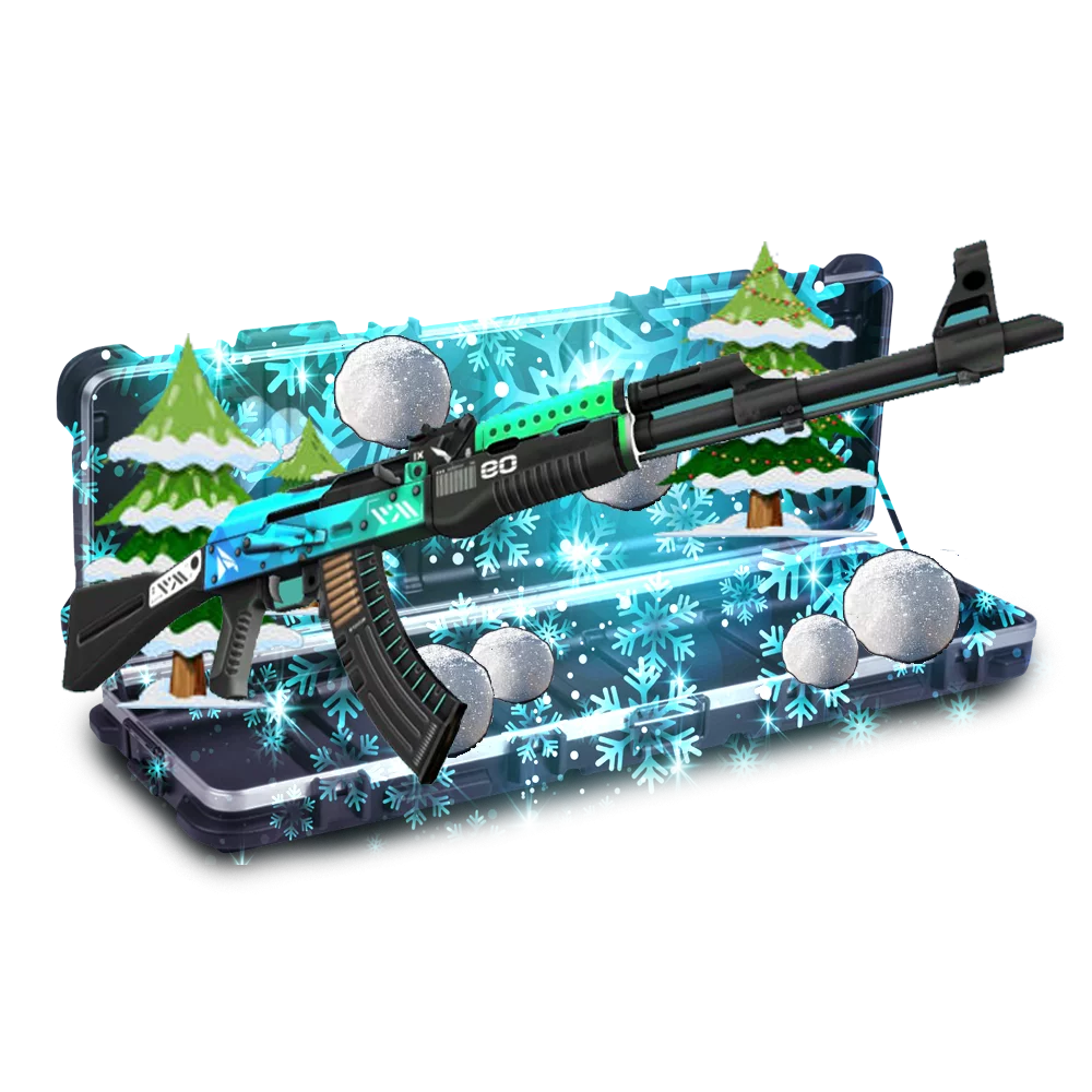 Case