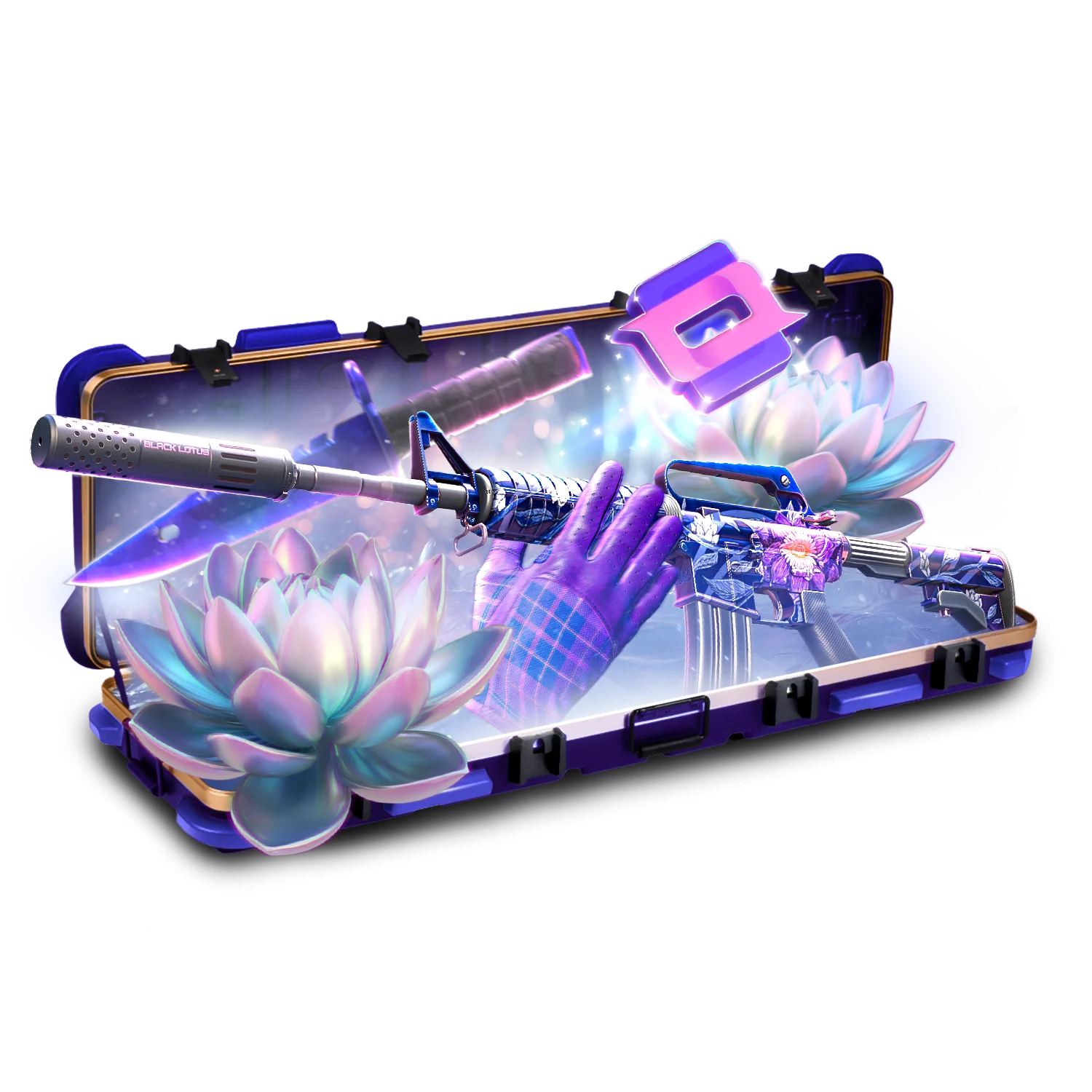 Case