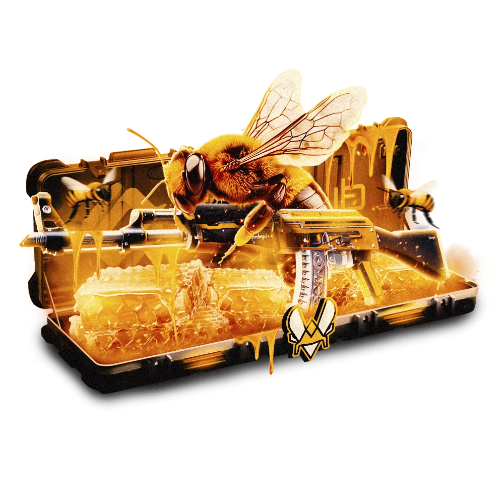 Case