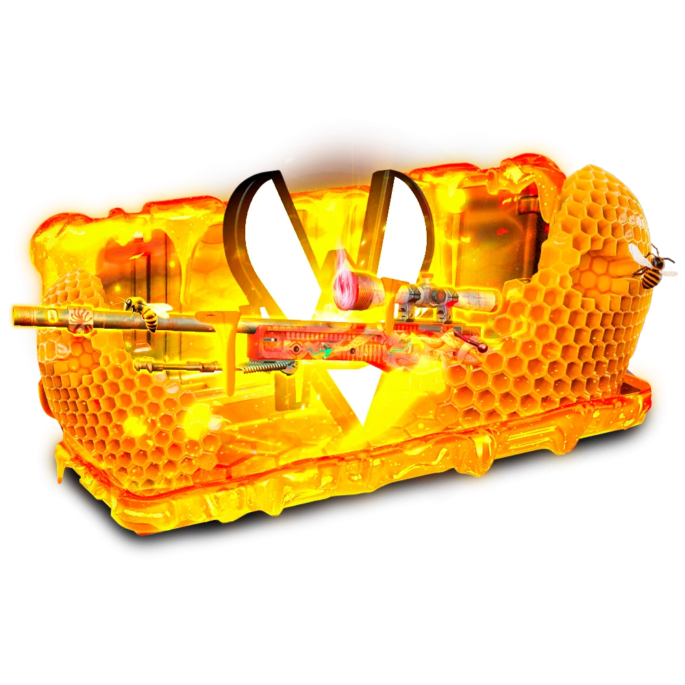Case