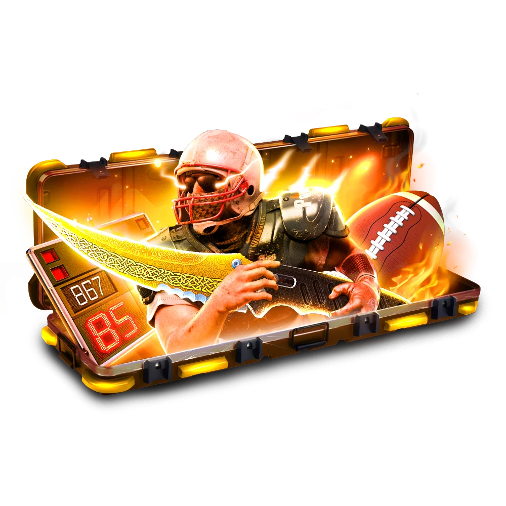 Case