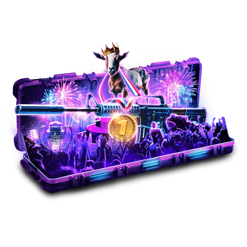 Case