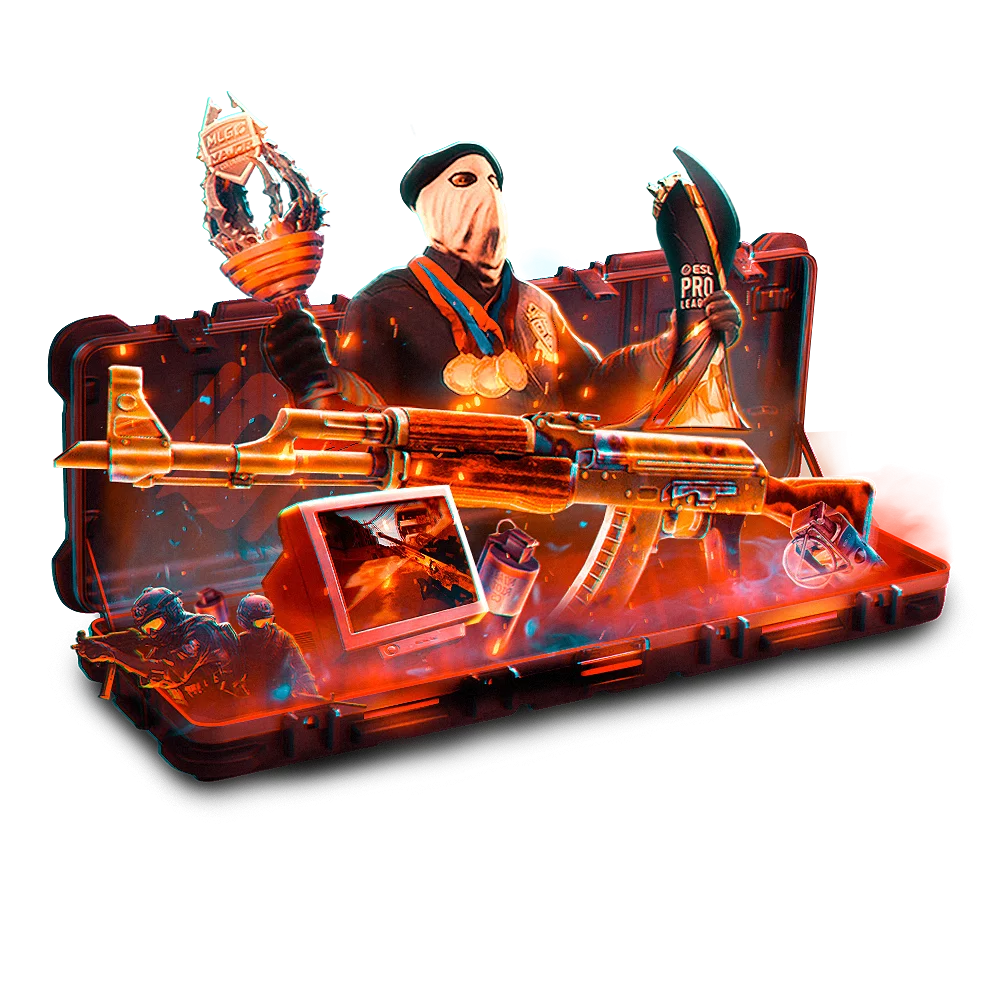 Case