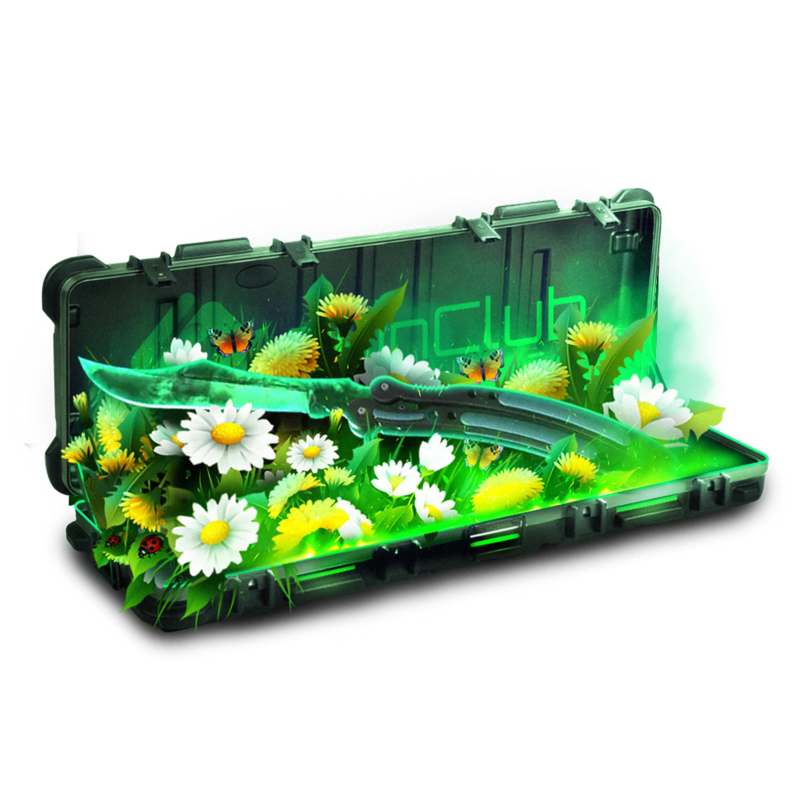 Case