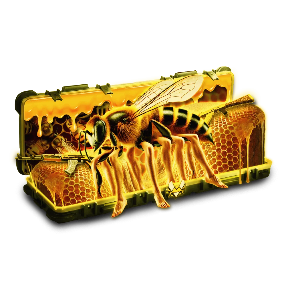 Case