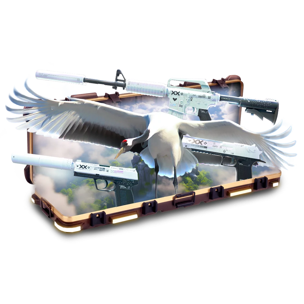 Case