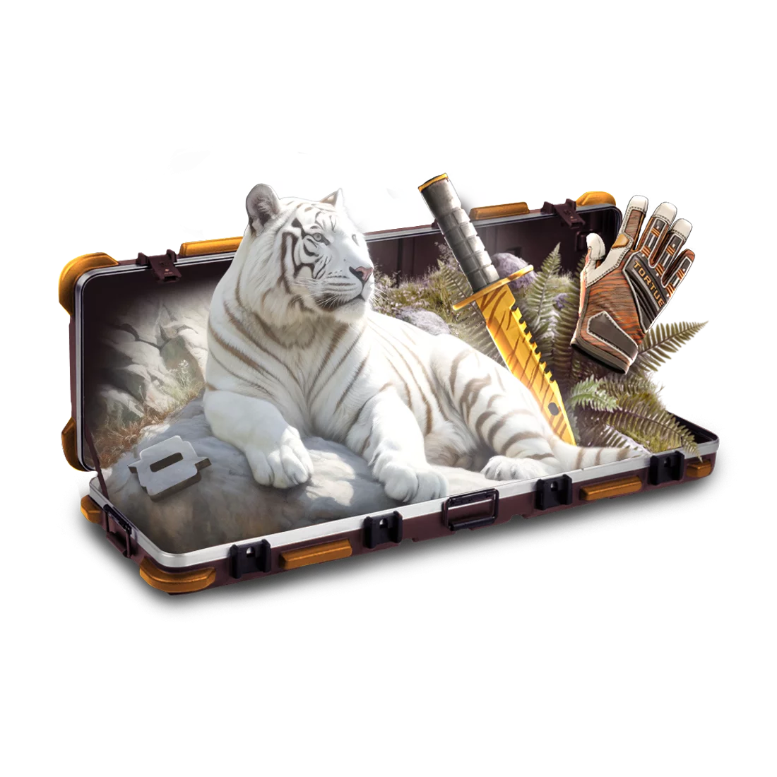 Case
